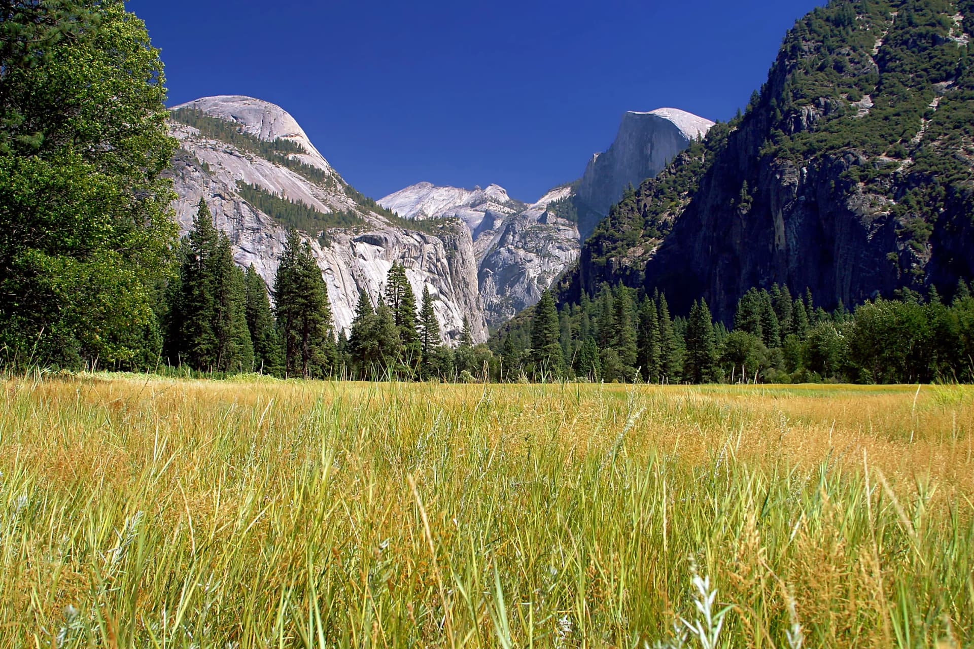 Yosemite land swap would give Kingsbarn a private road